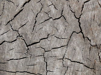 Similar image 744049