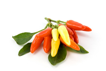 Similar image 744115