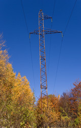 Similar image 744157