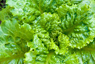 Similar image 744171