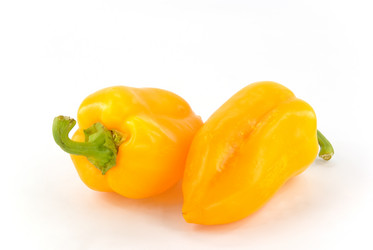 Similar image 744229