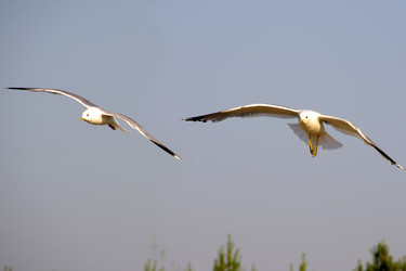 Similar image 744301