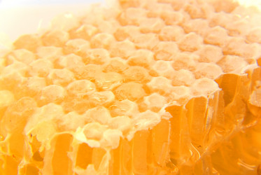 Similar image 744325