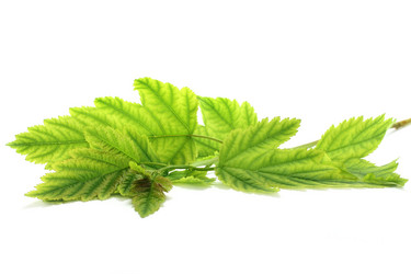 Similar image 744372