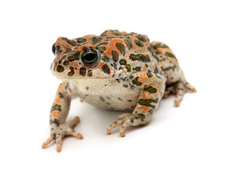 Similar image 744458