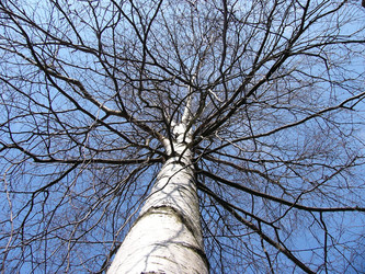 Similar image 744484