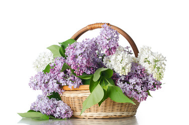 Similar image 744486