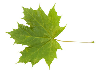 Similar image 744495