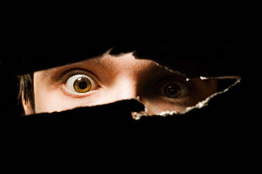 Similar image 744503