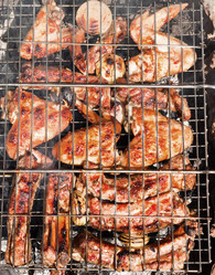 Similar image 744507