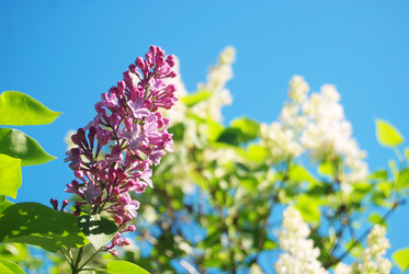 Similar image 744516