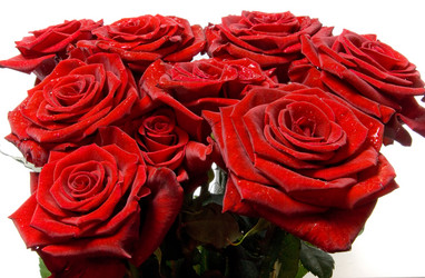 Similar image 744523