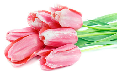 Similar image 744563