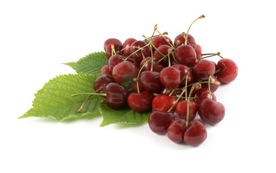 Similar image 744570