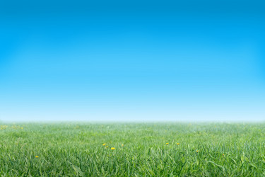 Similar image 744653