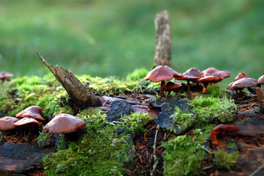 Similar image 744728