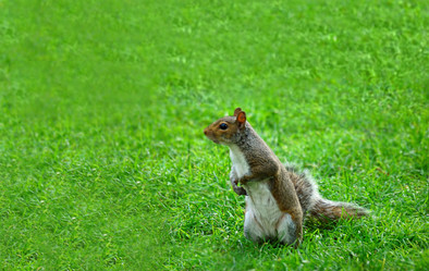 Similar image 744736