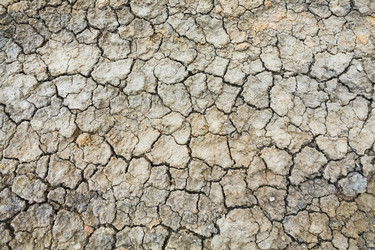 Similar image 744754