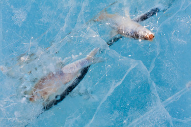 Similar image 744791