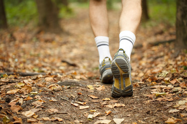 Similar image 744860