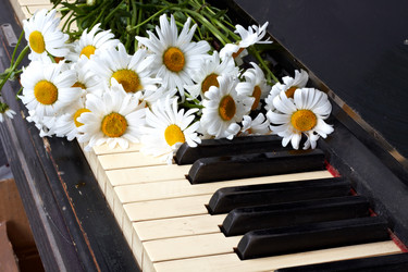 Similar image 744938