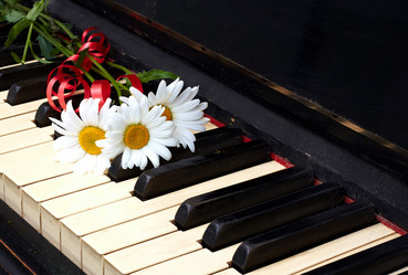 Similar image 744940