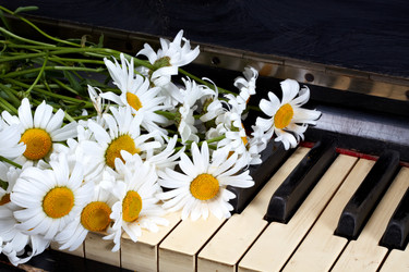 Similar image 744942