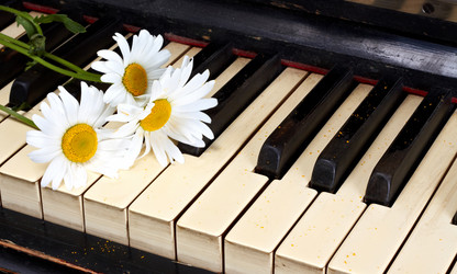 Similar image 744943