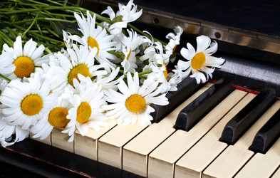 Similar image 744945