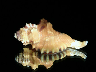 Similar image 744985