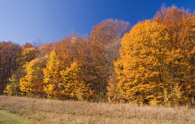 Similar image 745006