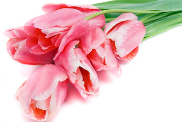 Similar image 745010