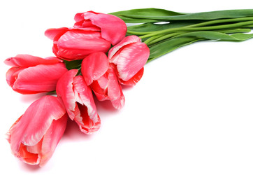 Similar image 745011