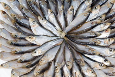 Similar image 745013