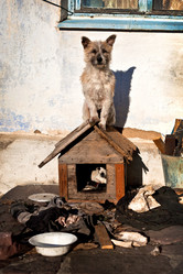 Similar image 745023