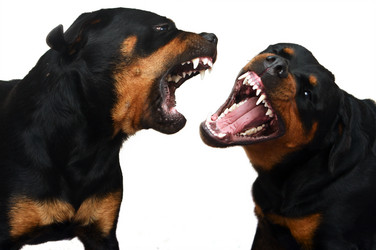 Similar image 745038