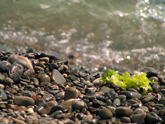 Similar image 745062