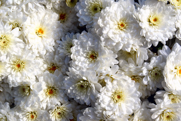 Similar image 745099