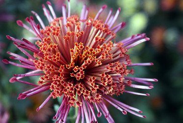 Similar image 745100