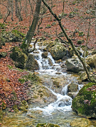 Similar image 745108