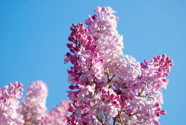 Similar image 745135