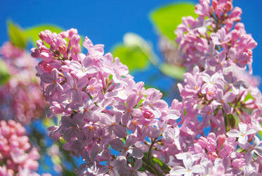 Similar image 745136