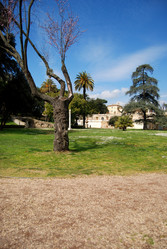 Similar image 745175