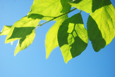 Similar image 745179