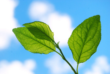 Similar image 745181