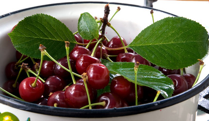 Similar image 745203