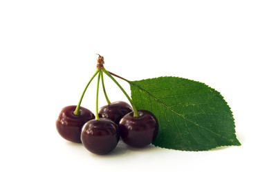 Similar image 745209