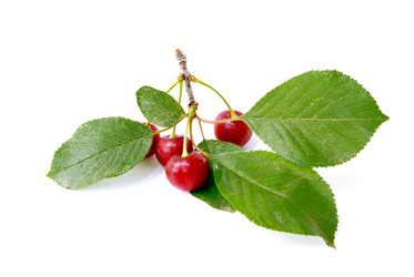 Similar image 745212