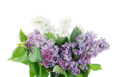 Similar image 745295