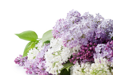 Similar image 745296